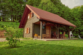Srčna, Tri Vile, a beautiful log cabin with amazing view Podčetrtek